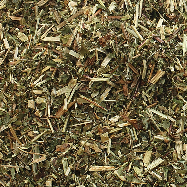 BIO Wiesenkönigin (Mädesüß), geschnitten