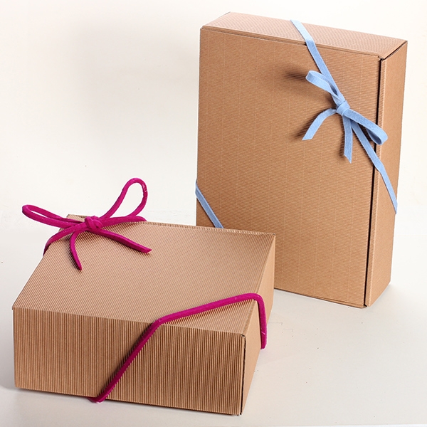 BIO Feinschmecker-Präsentbox „Unser Bestes“