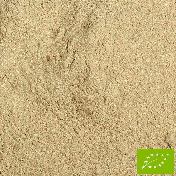 BIO Fenchel süß, grün, gemahlen