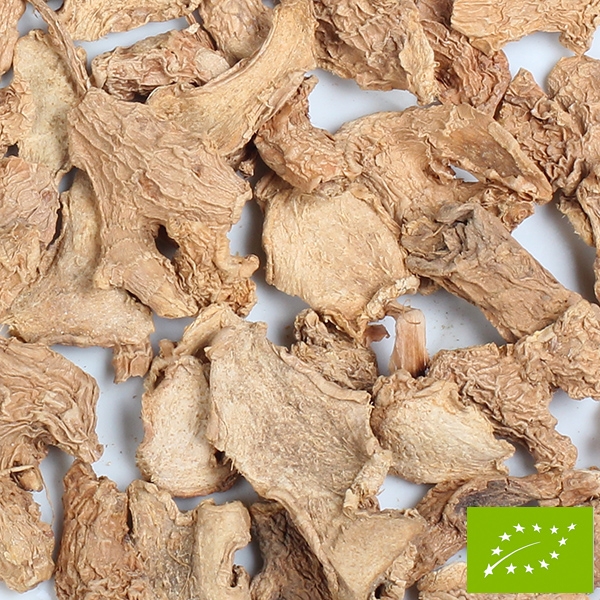 BIO Ingwer, grobe Chips