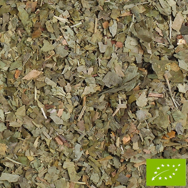 BIO Ginkgo, geschnittenes Blatt