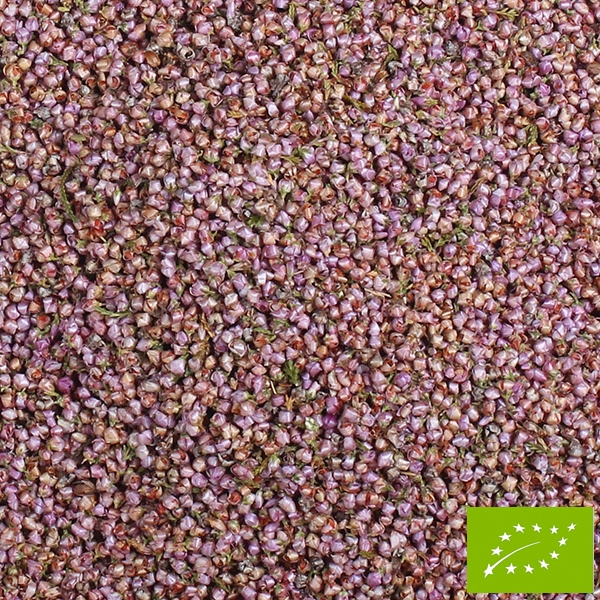 BIO Heidekraut, Blüten
