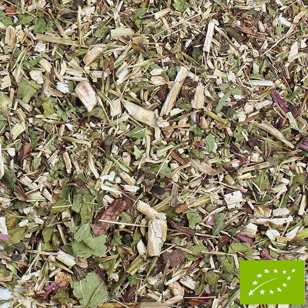 BIO Purpur-Sonnenhutkraut, geschnitten