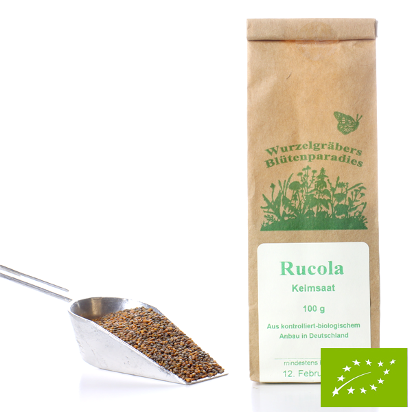 BIO Rucola, Keimsaat